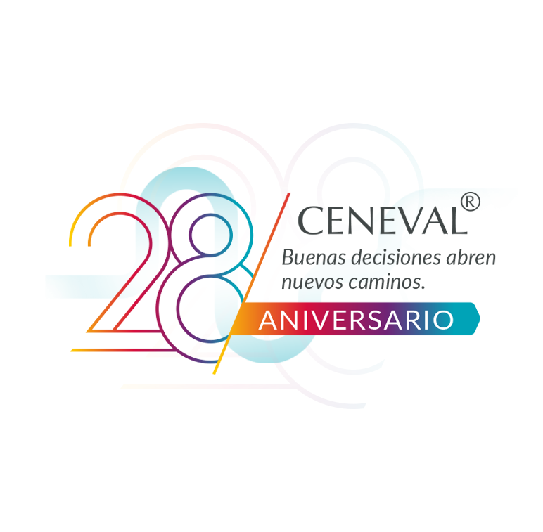 logo28anosIntroduccion