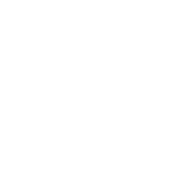 development