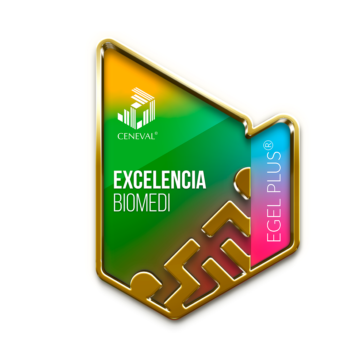 premio egel insignia