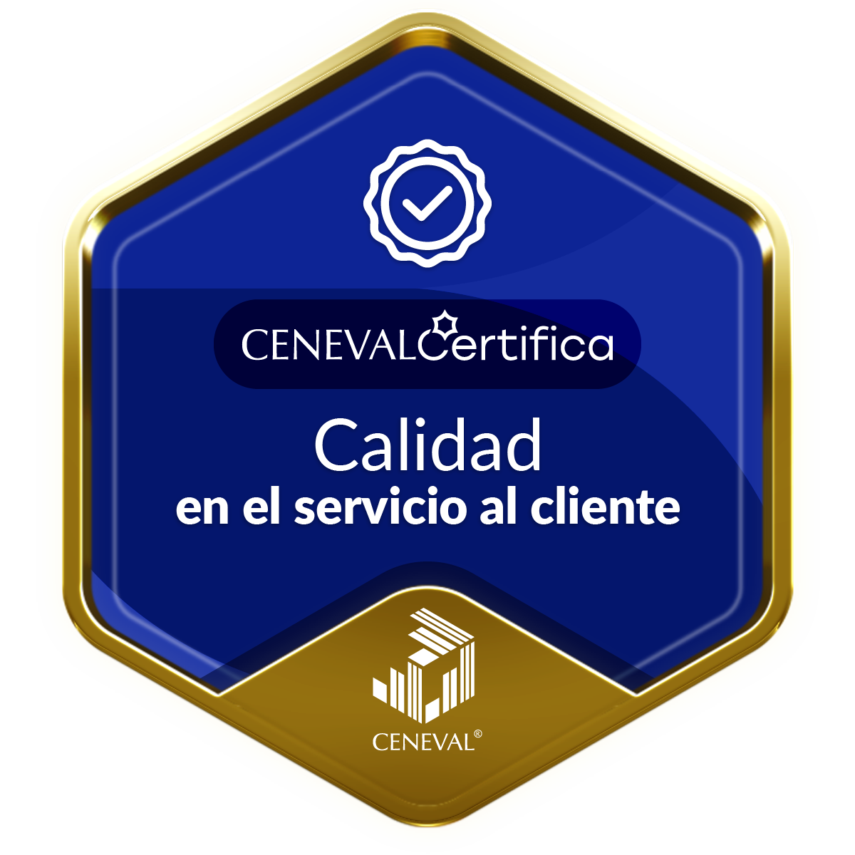 Calidad en el servicio al cliente_Oro