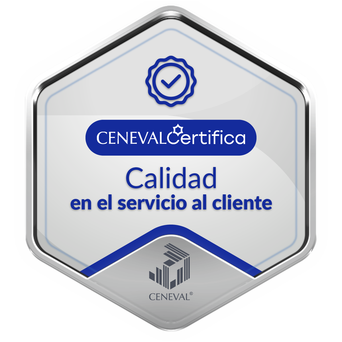 Calidad en el servicio al cliente_Plata