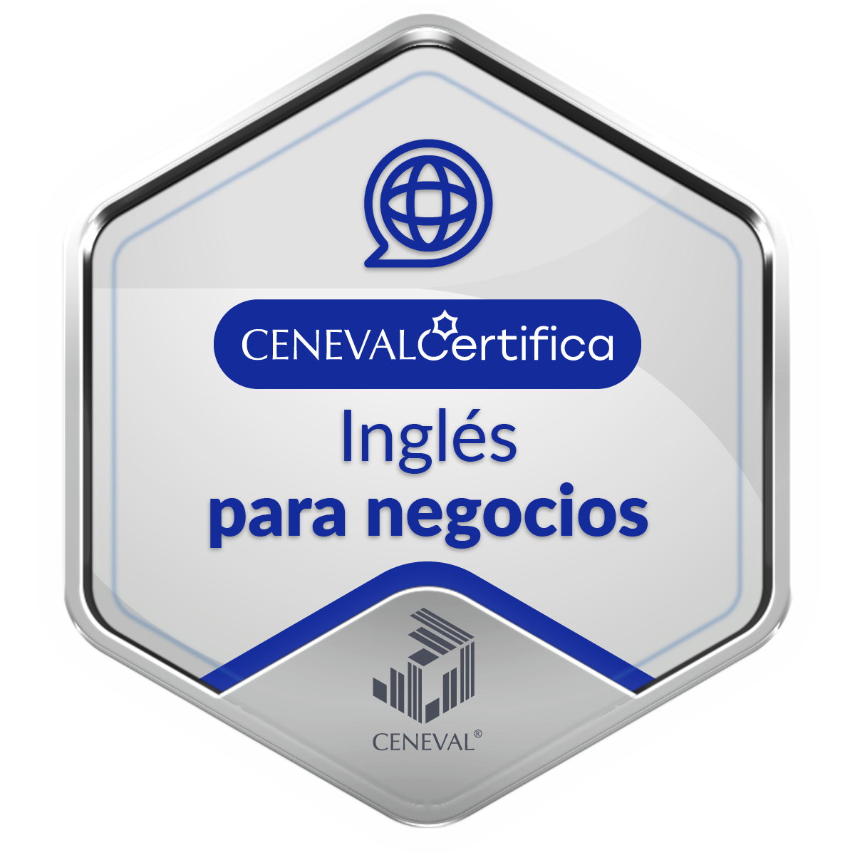 Inglés para negocios_Plata